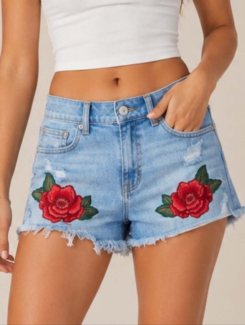 American Eagle Outfitters Light Blue Denim Jean Shorts with Red Rose Embroidery